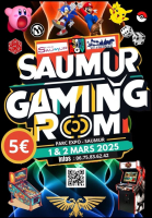 Saumur Gaming Room 