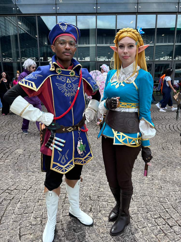Link royal guard — photo 17