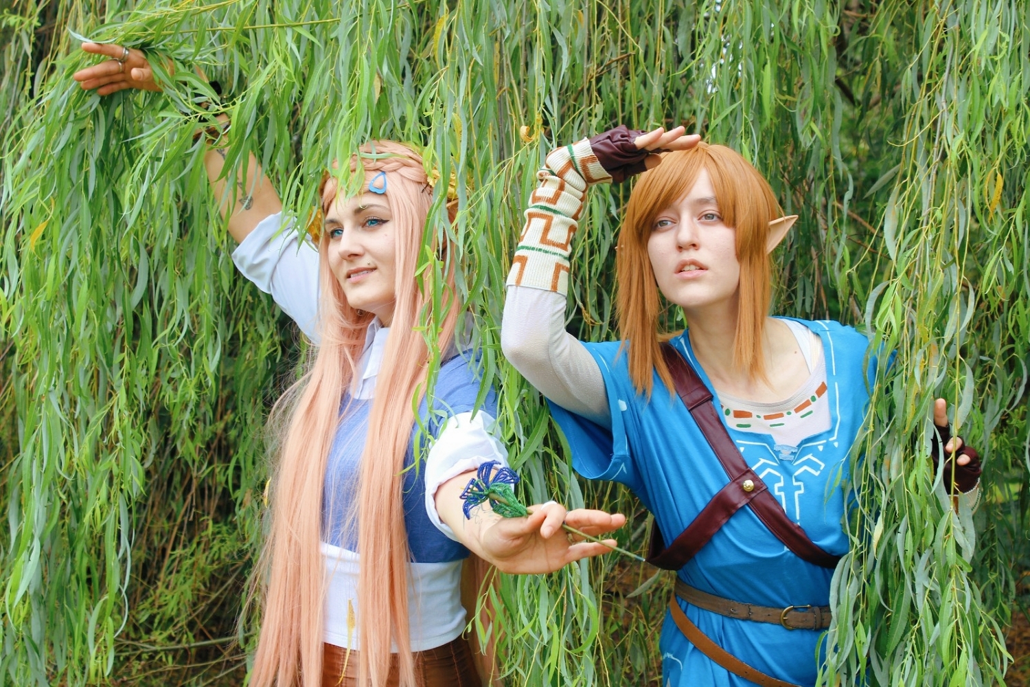 Link (Botw) - Photo 9