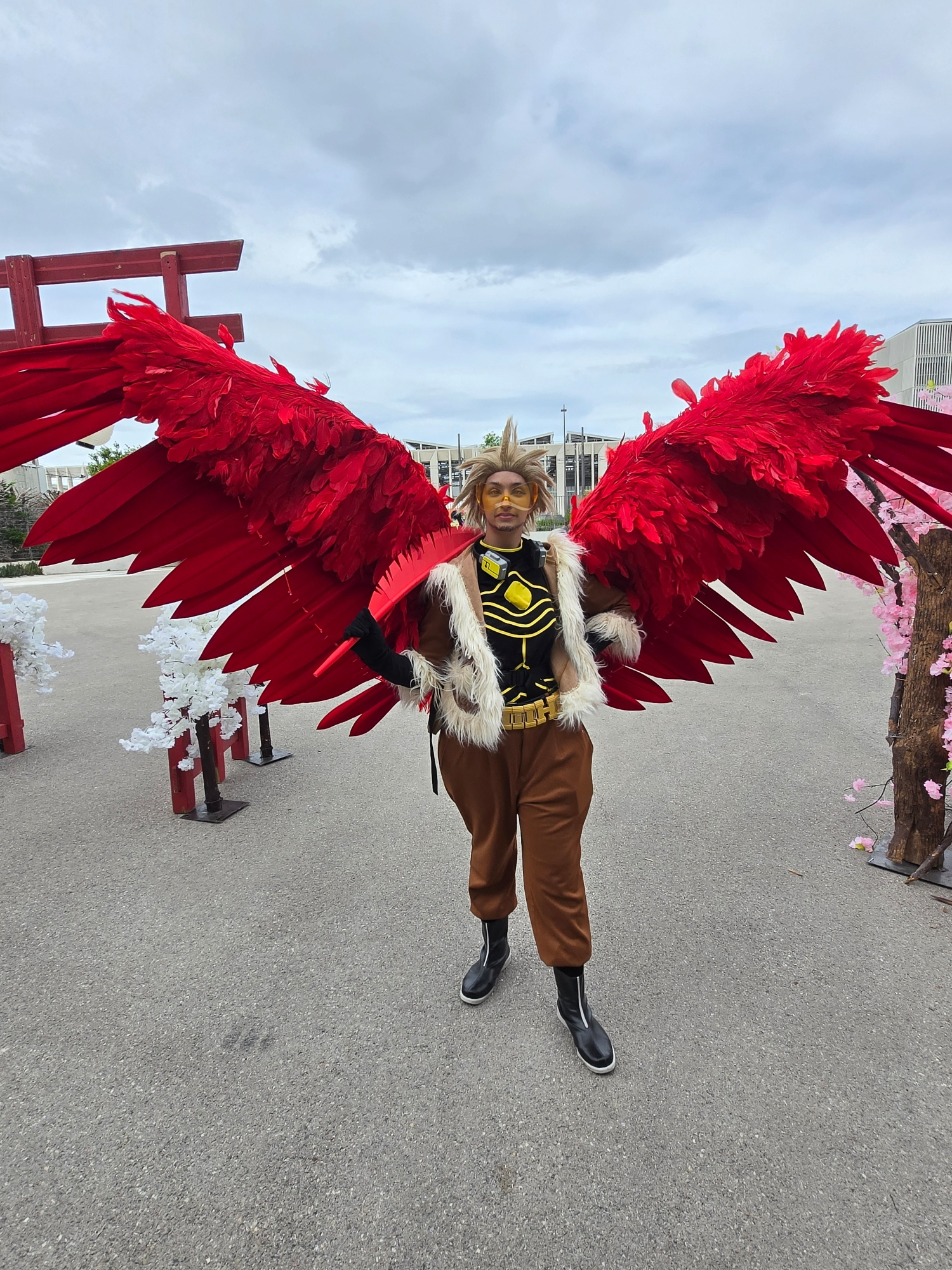 Hawks — photo 117