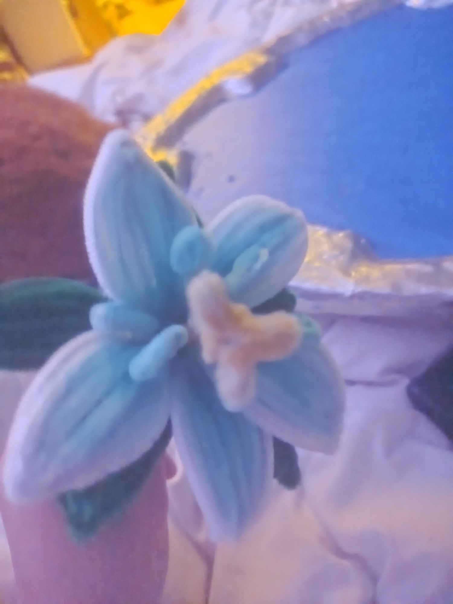 Props — photo 8