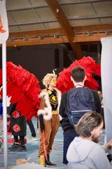Hawks preview 3