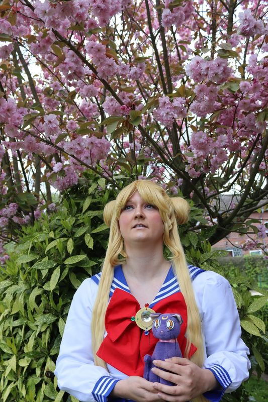 Amy-sama – Usagi Tsukino 