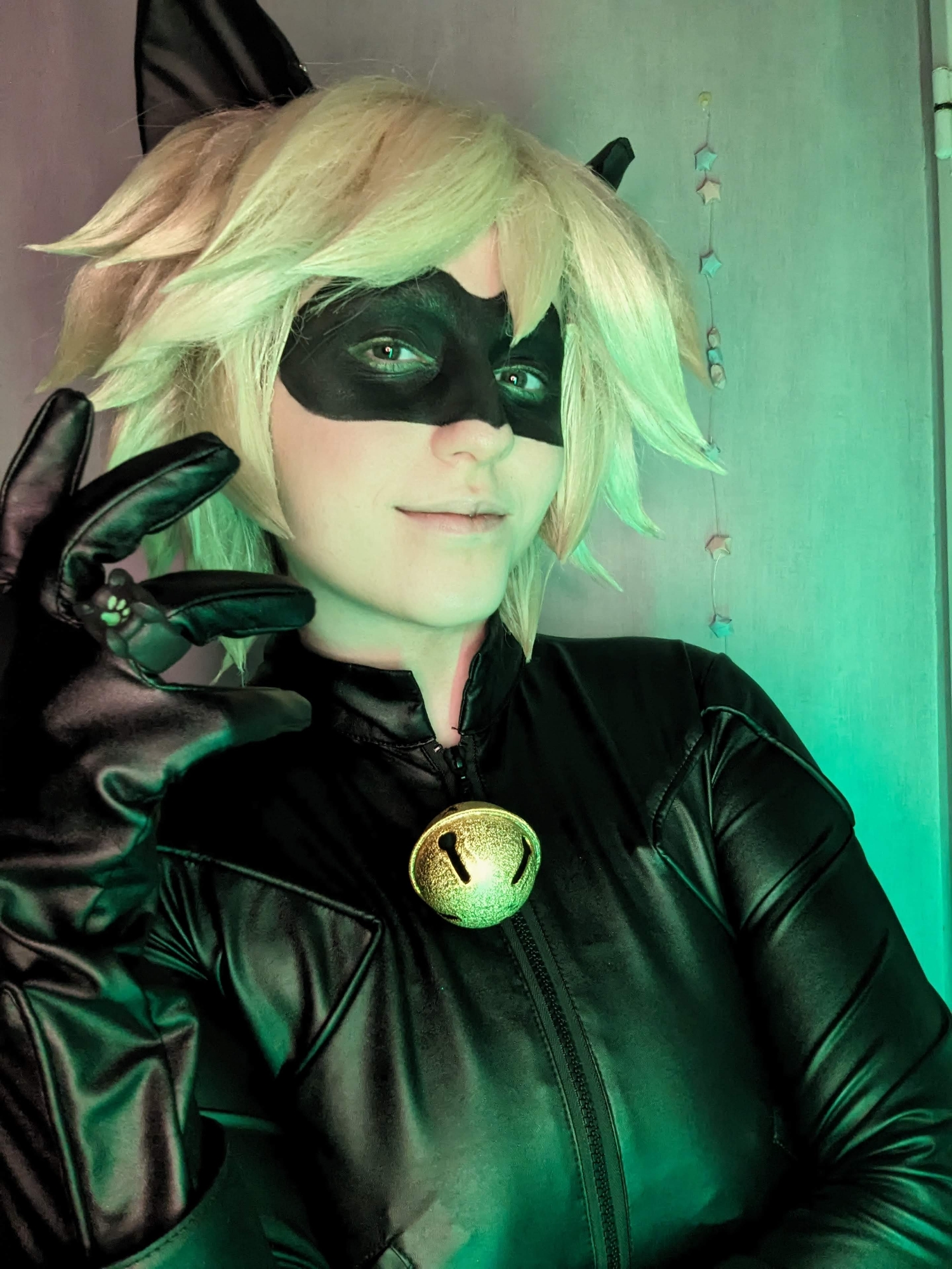 Chat noir — photo 8