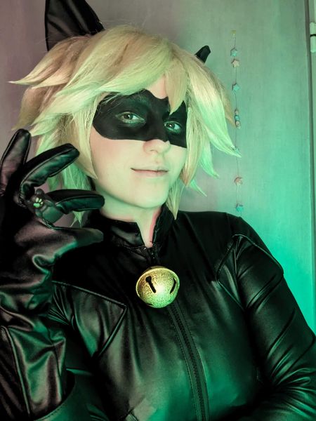 Lionara_artwork - Chat noir 