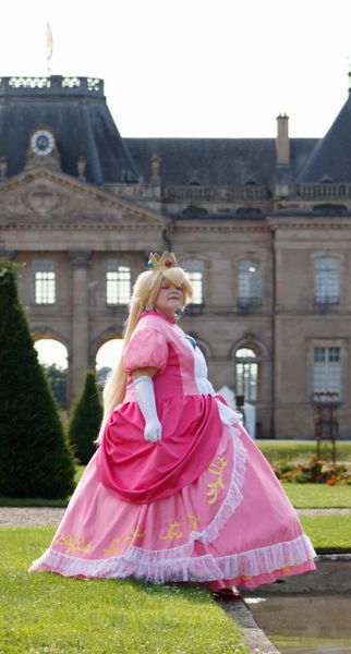 Darckfleur_ - Château de Lunéville