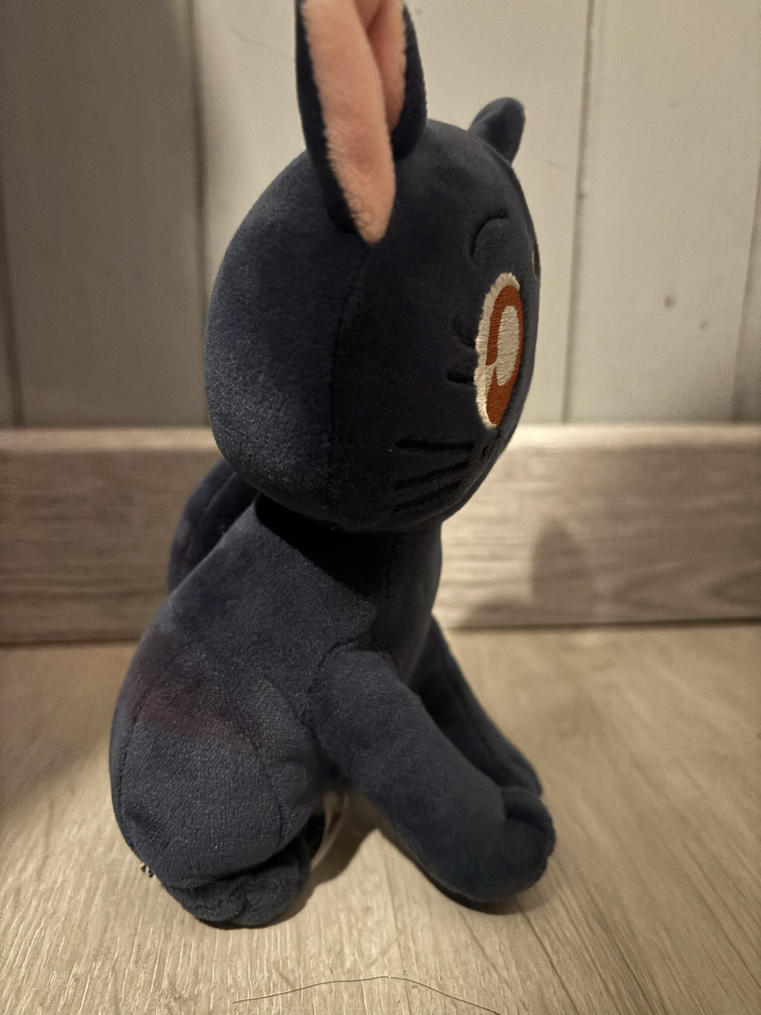 Chat (Sailor moon), photo 7