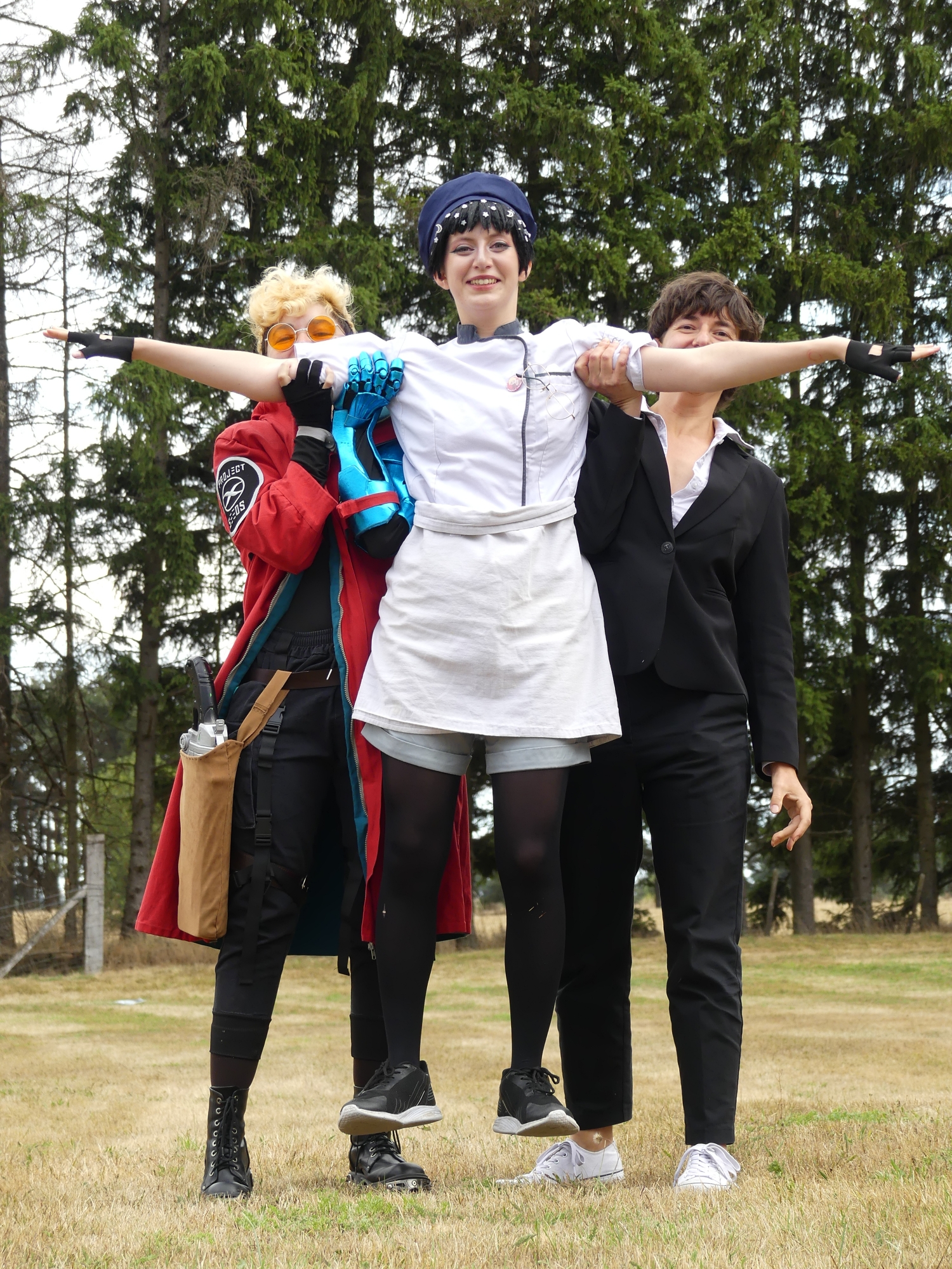 Gevaudan pop culture - Photo 15