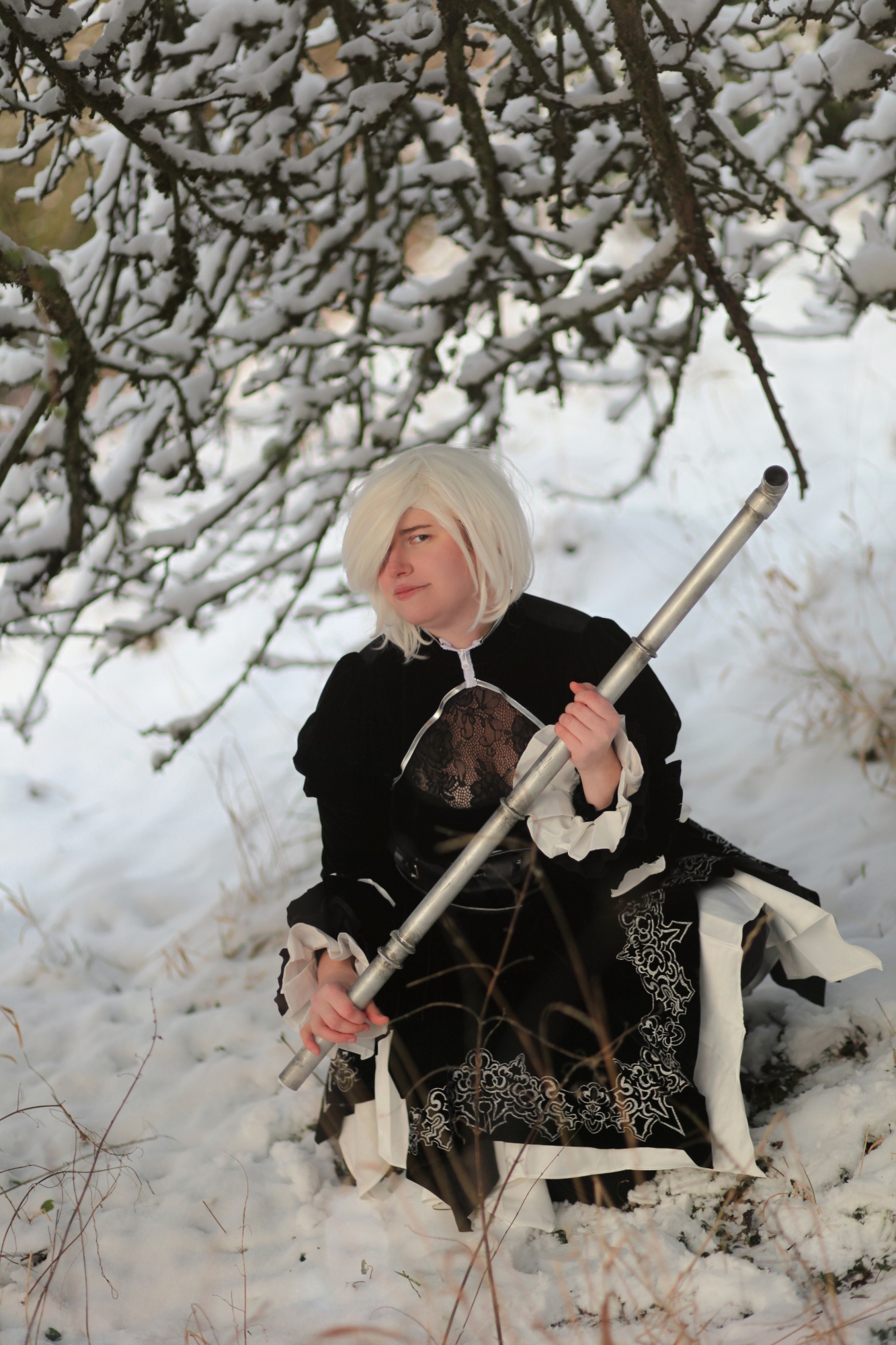 A2 dans la neige — photo 5