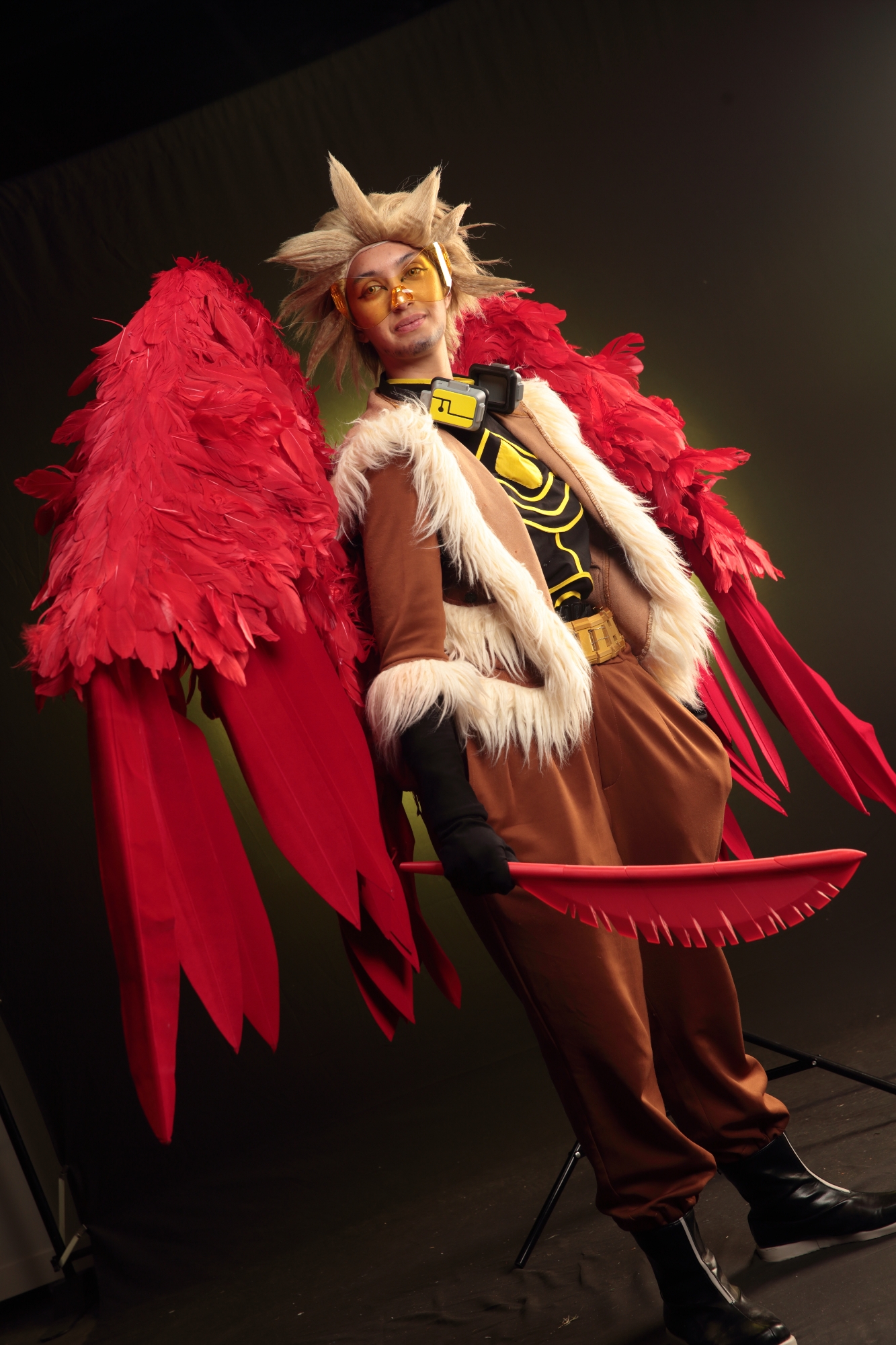 Hawks — photo 190