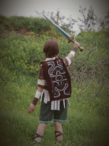 Cosplays from Shadow of the Colossus