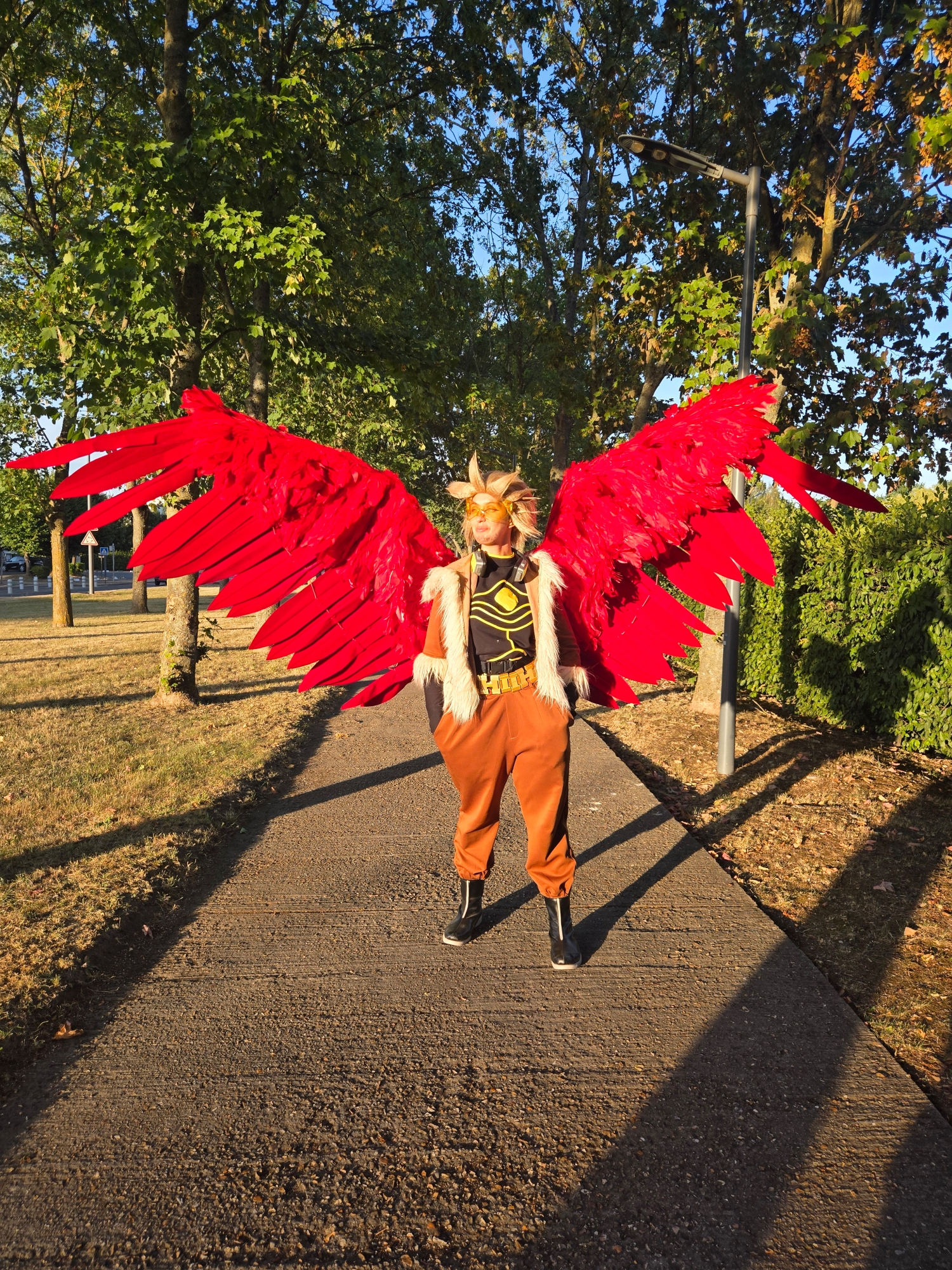 Hawks — photo 83