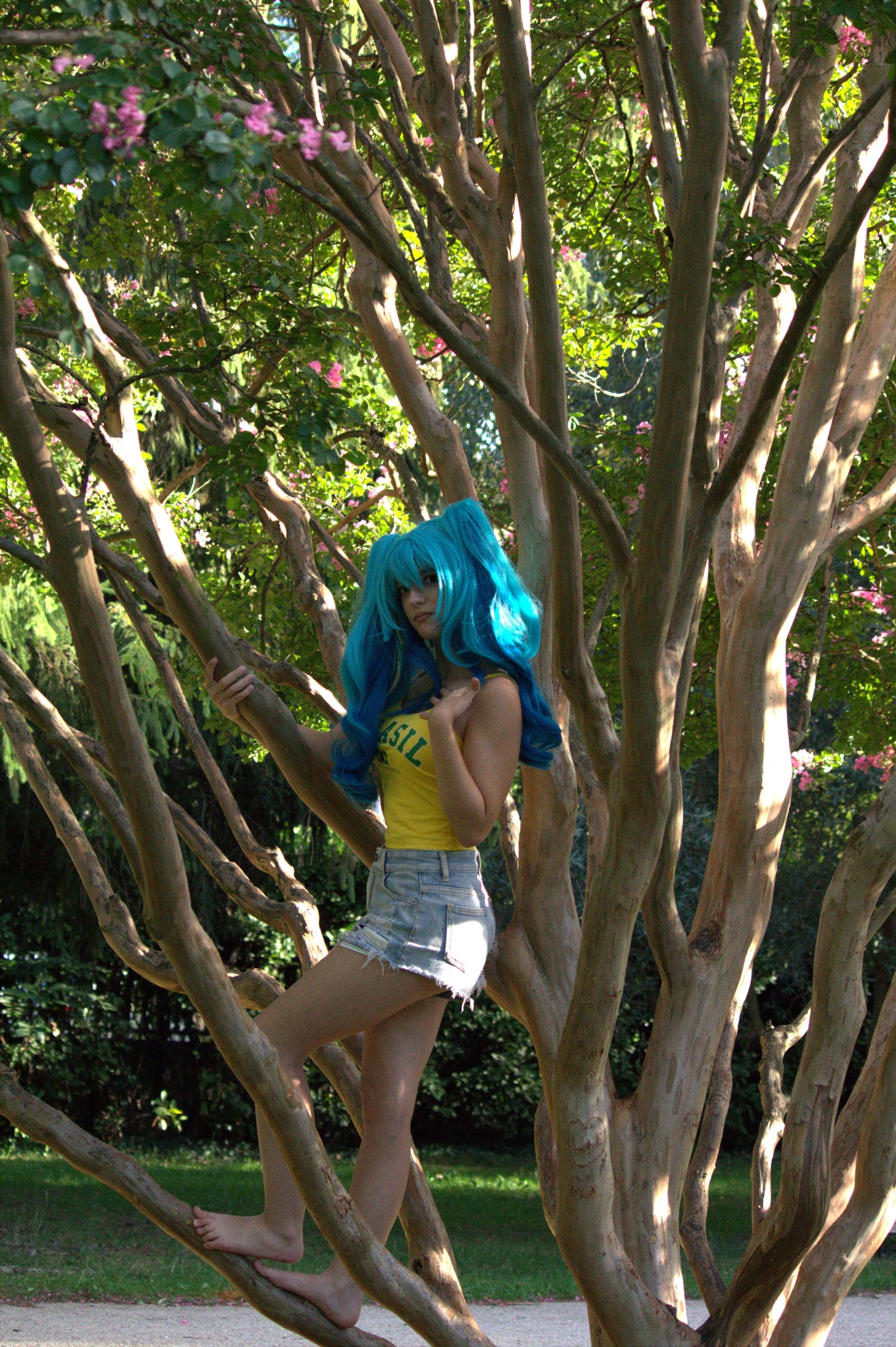 Hatsune Miku Brésil, photo 15