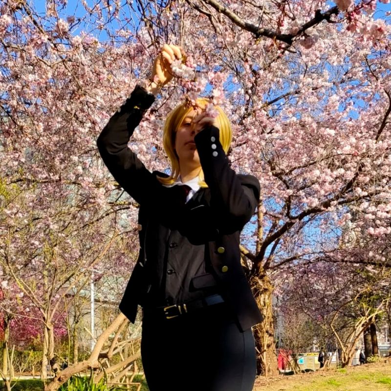 Ocha – William Moriarty 