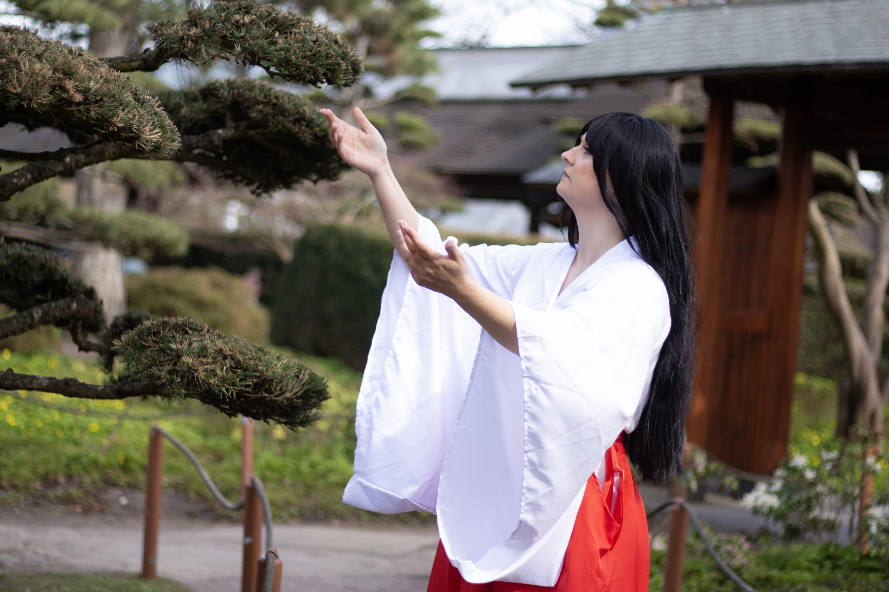 Rei Hino Miku — photo 10