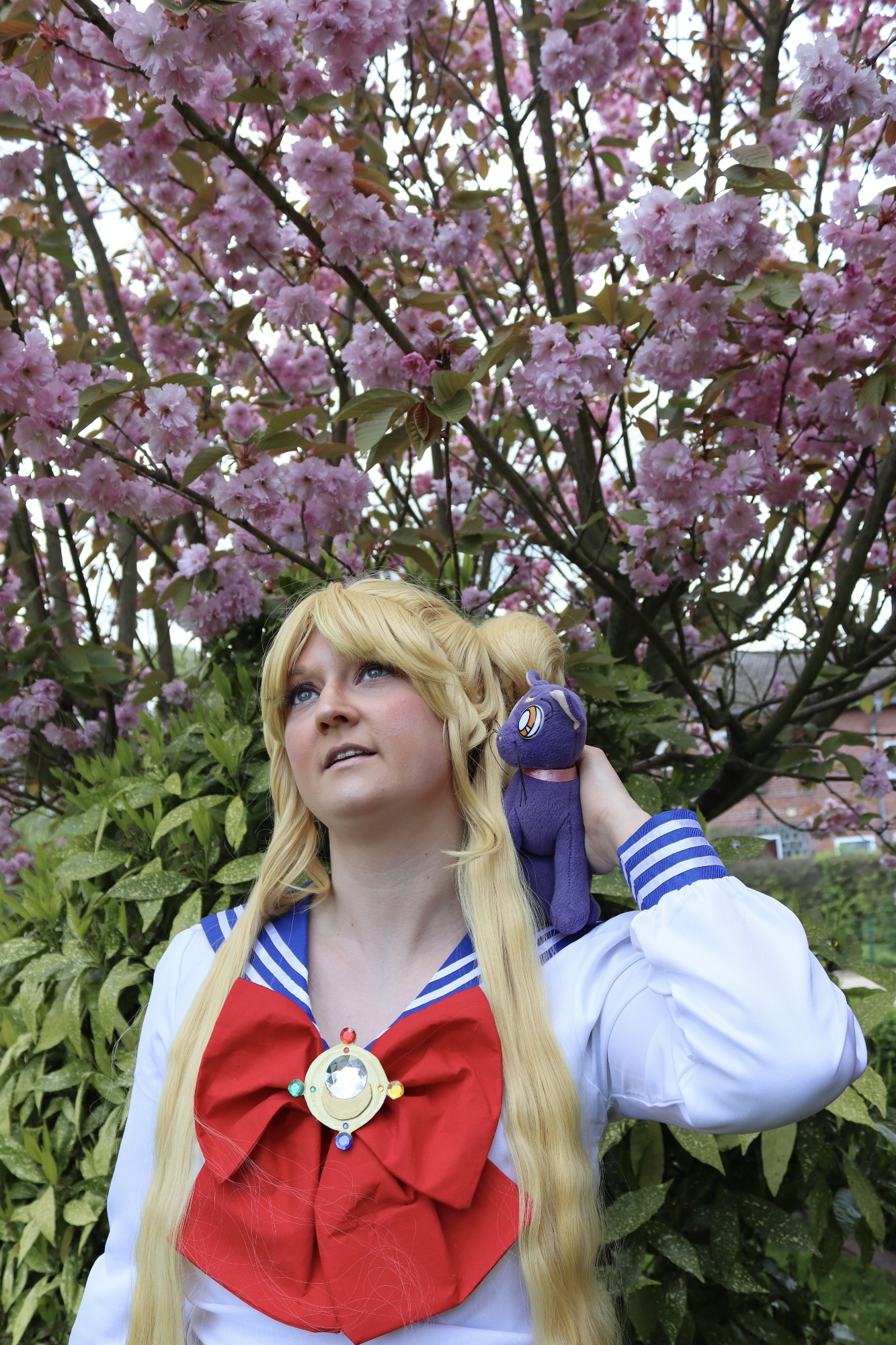Usagi Tsukino  - Photo 5