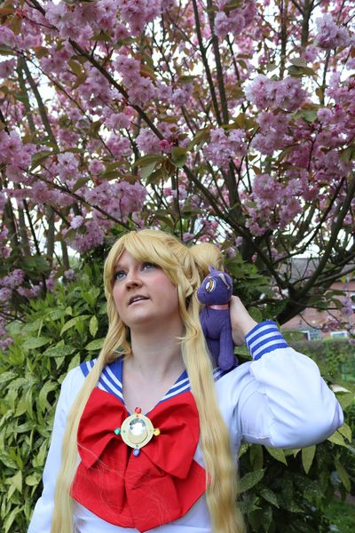 Amy-sama - Usagi Tsukino 