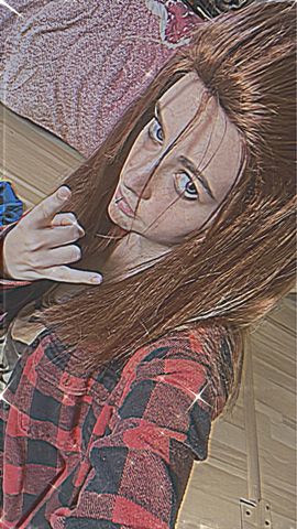 Sally face