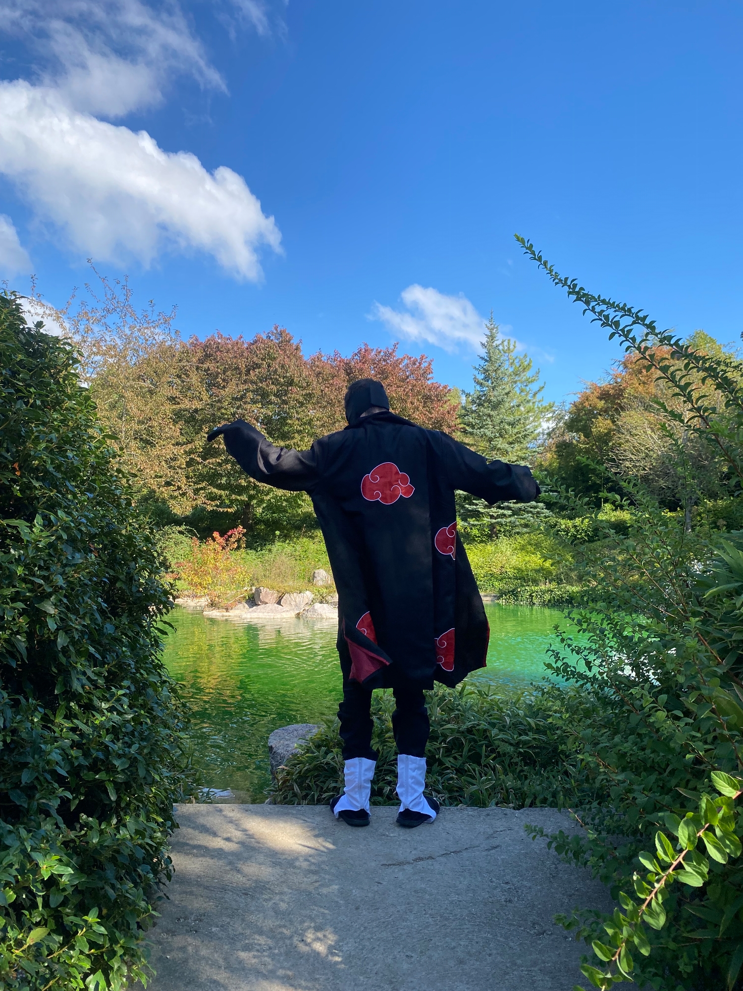 Tobi — photo 18