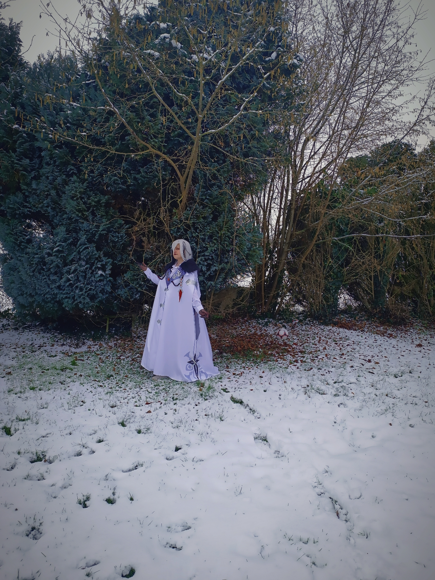 Arlecchino - Photo 4