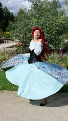 Ariel preview 2