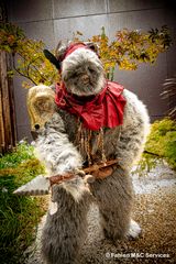 Un Ewok à Vitrolles preview 3