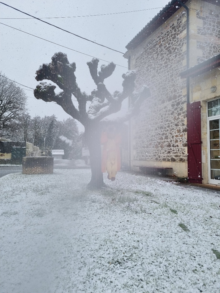 Moinegi n'a pas froi - Photo 4