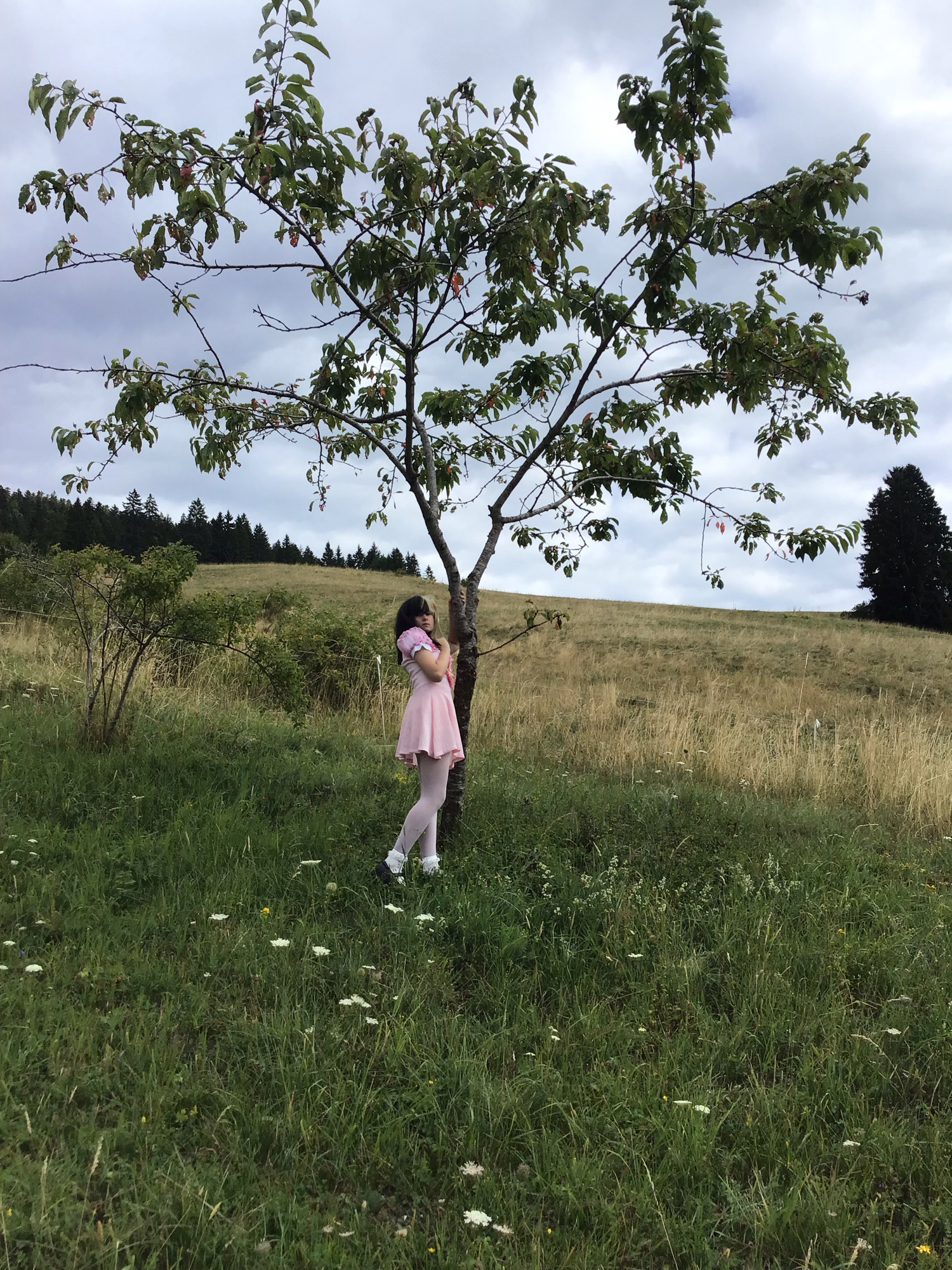K-12 — photo 7
