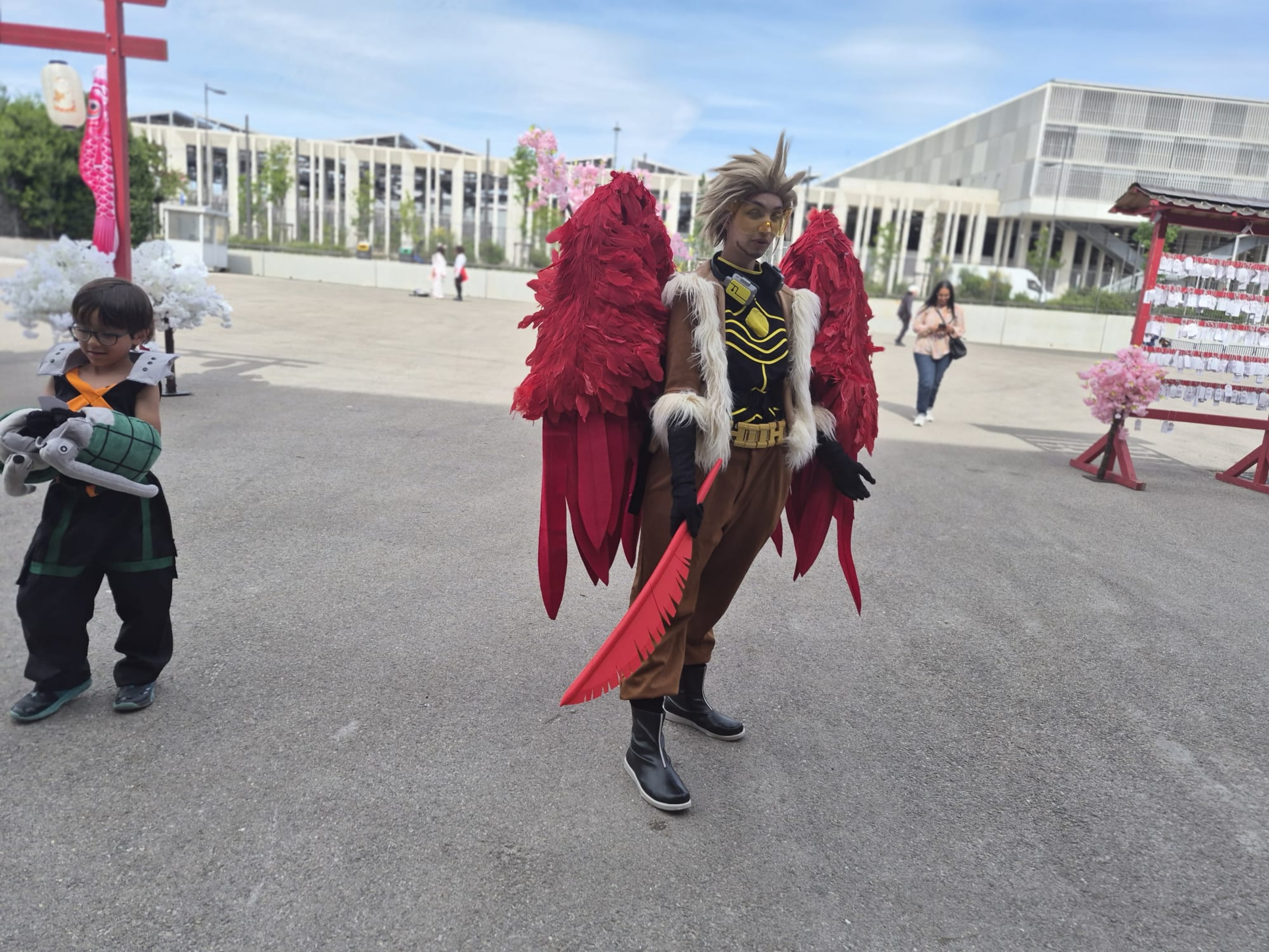 Hawks — photo 104