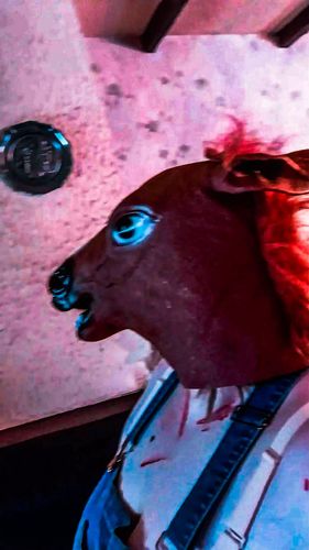 Cosplays from HorseHead Legacy