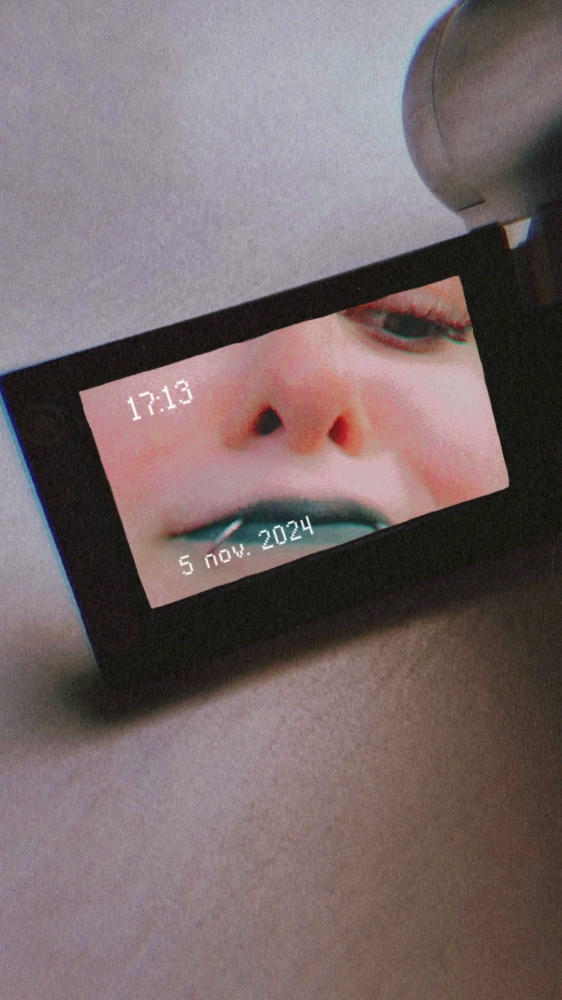 La forêt interdite - Photo 21