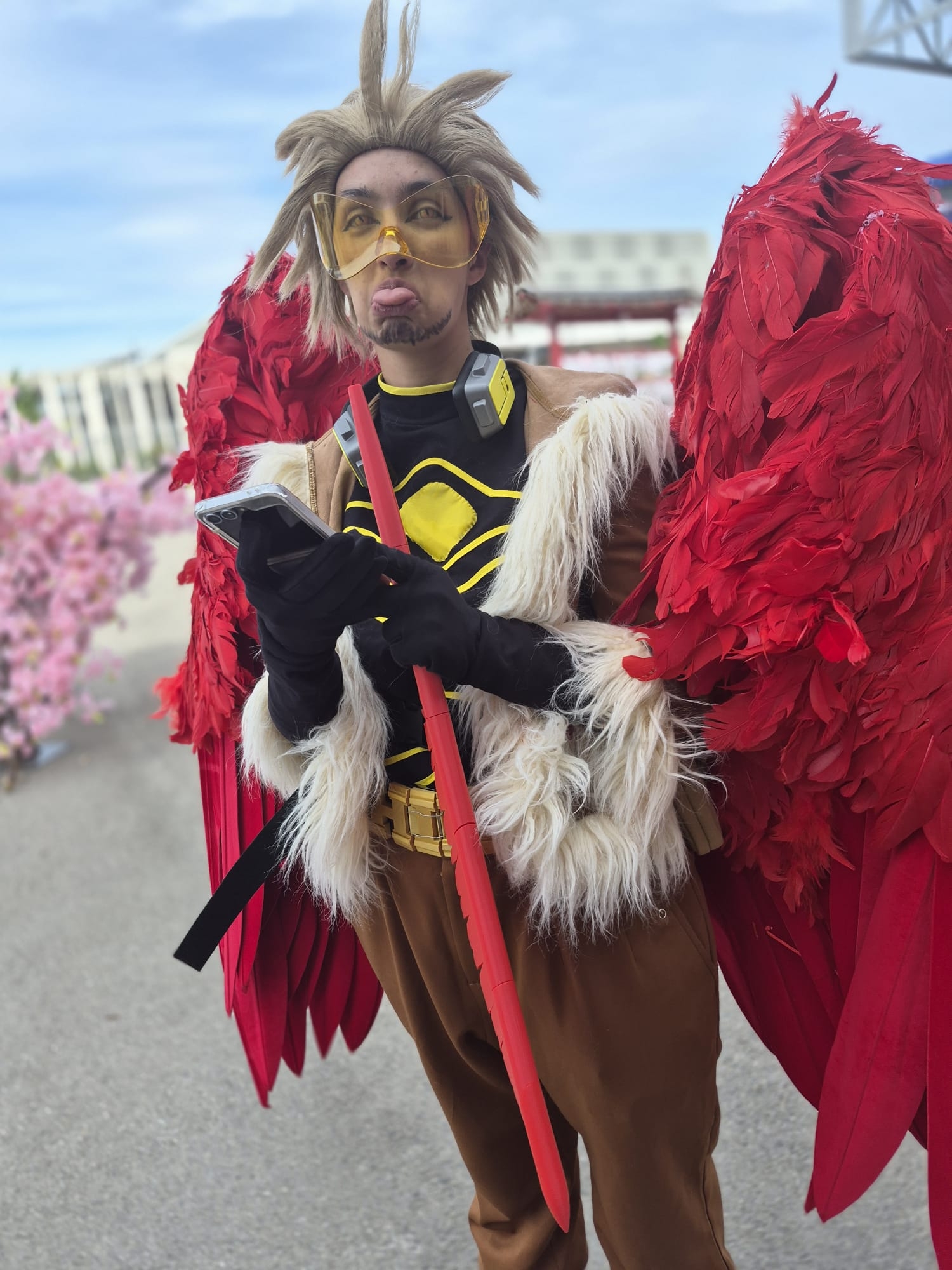 Hawks — photo 37