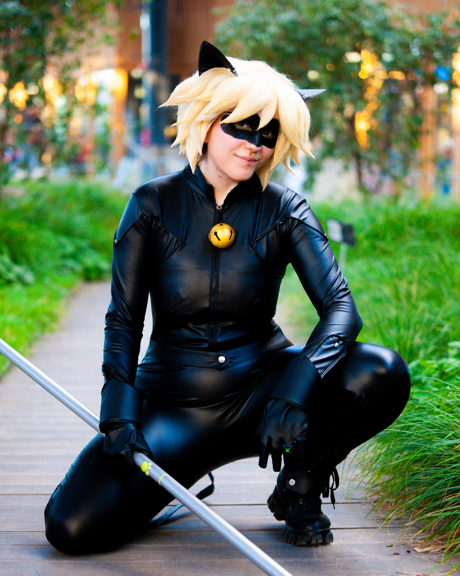 Chat noir — photo 6