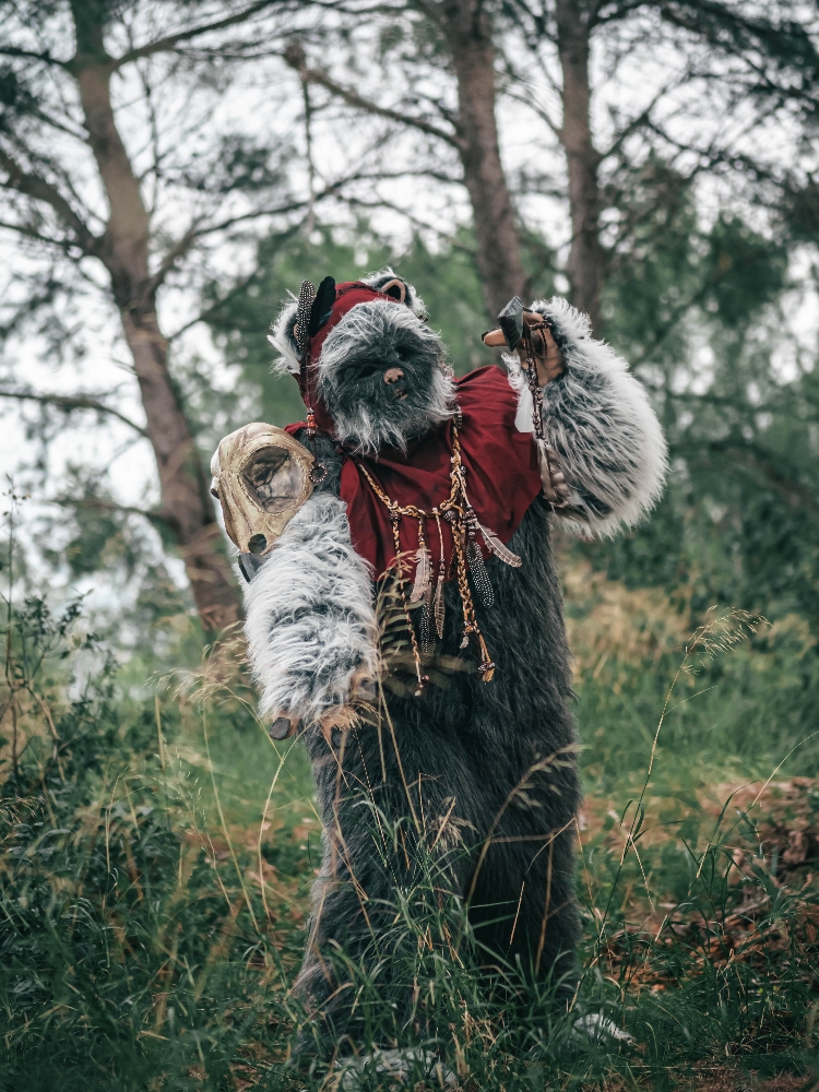 Forest Shooting - Photo 4