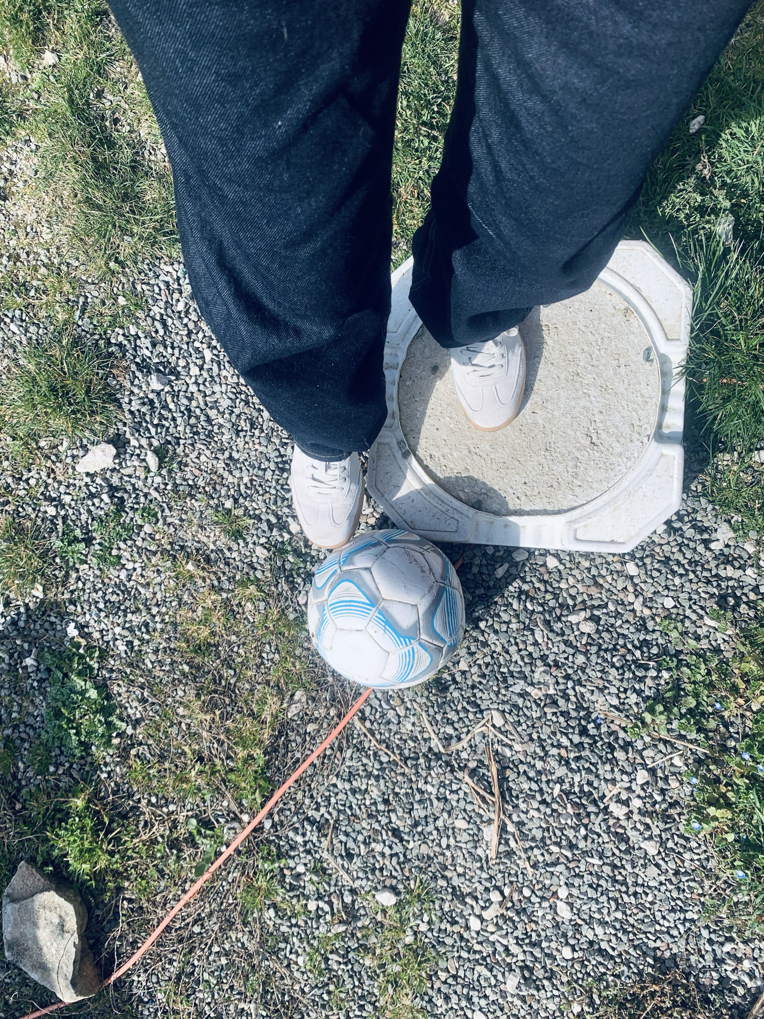 Shoto — photo 24