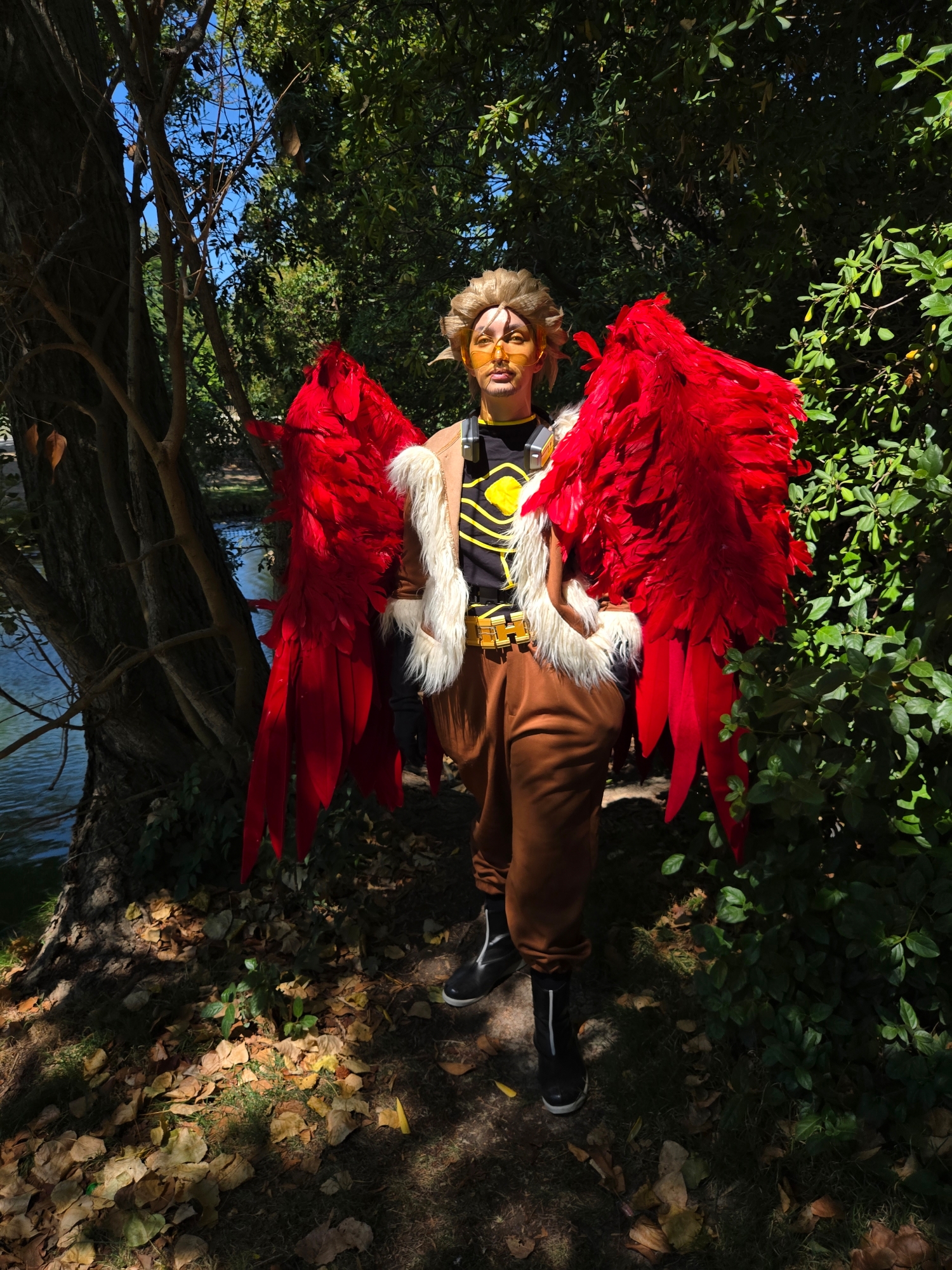 Hawks, photo 181