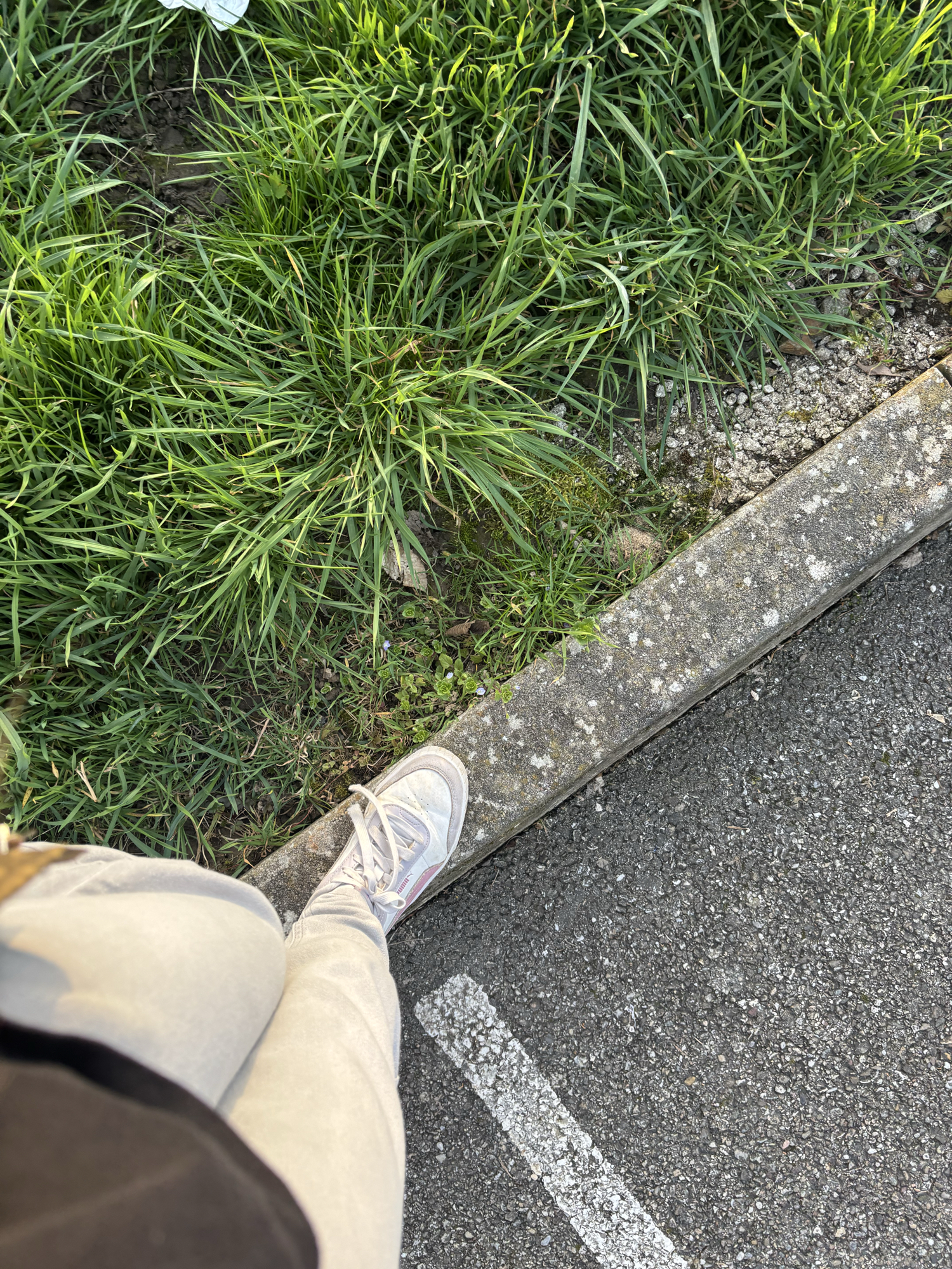 Miyo — photo 36