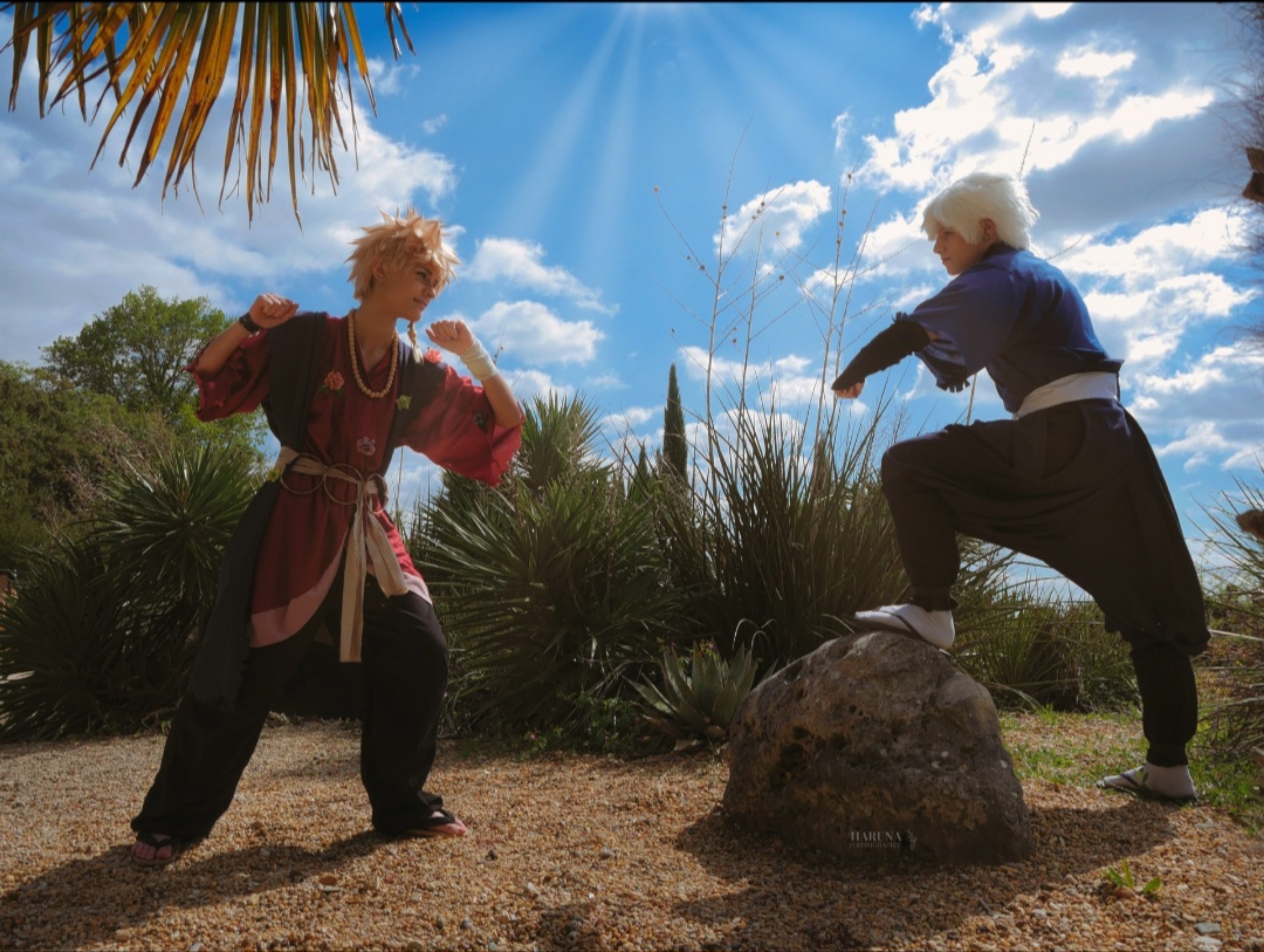 Chobei Japanantes - Photo 1