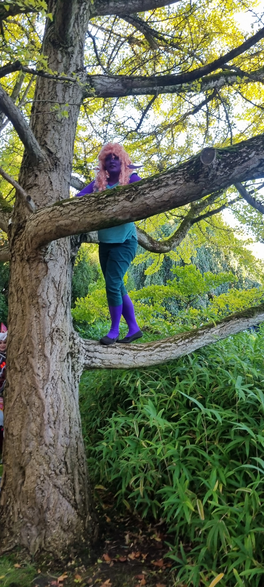 Alinua — photo 9