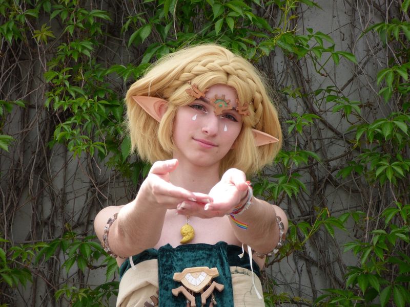 Moon_was_taken - Zelda