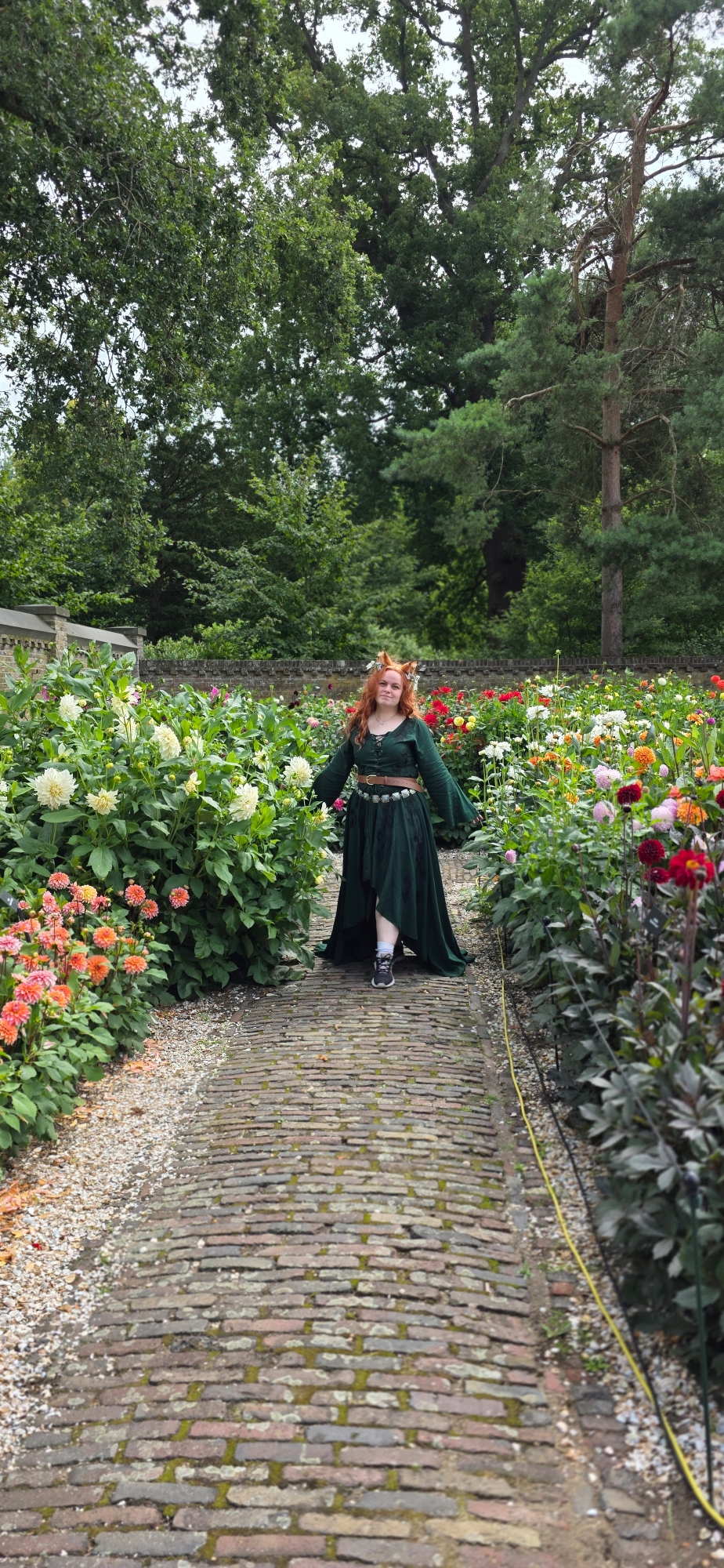 Summer fox  - Photo 8