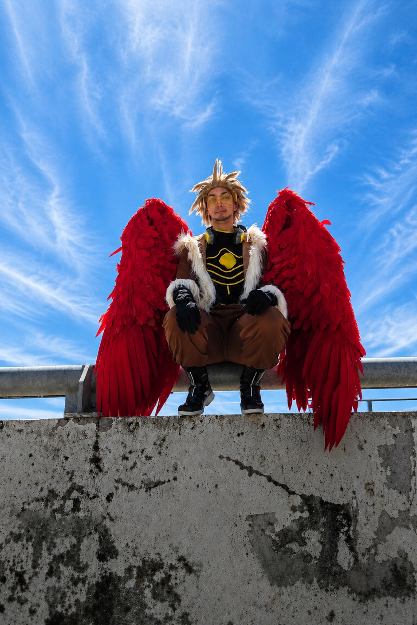 Hawks — photo 26