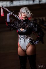 2B self destruc preview 2