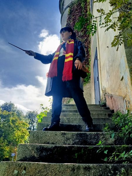Ax - Sirius Black