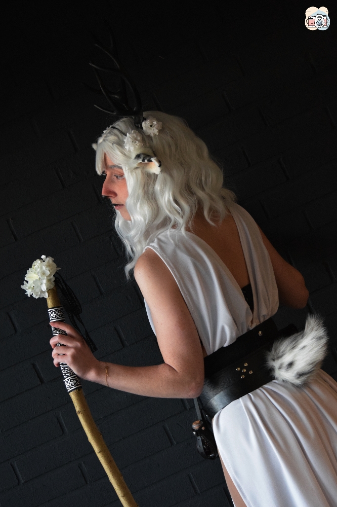 Faune noir et blanc - Photo 1