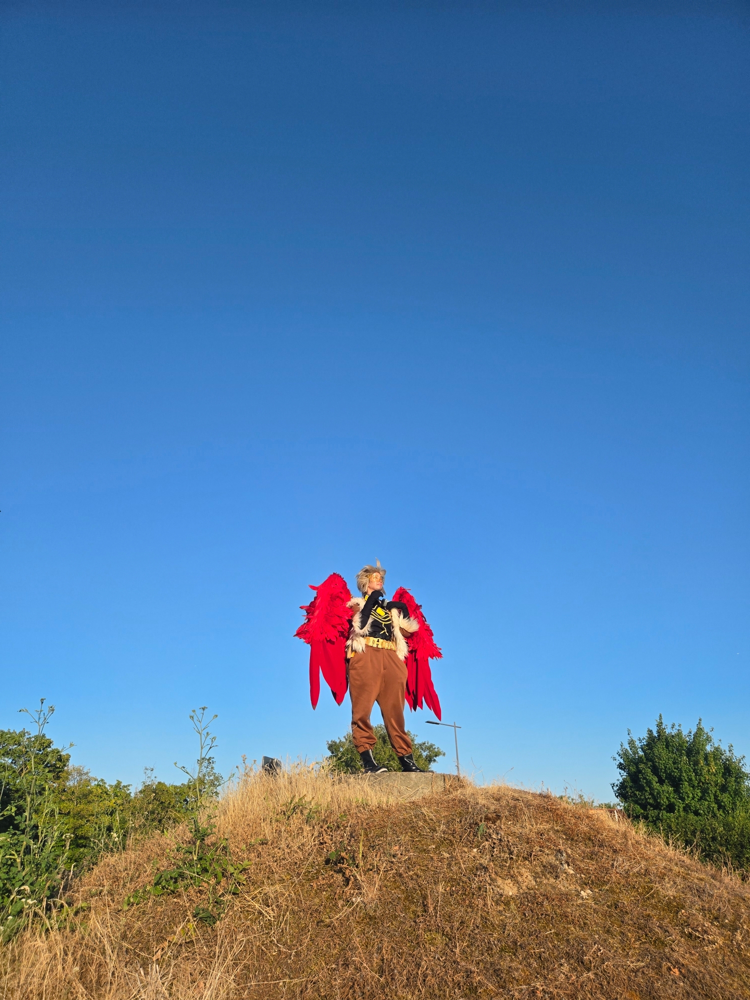 Hawks — photo 106