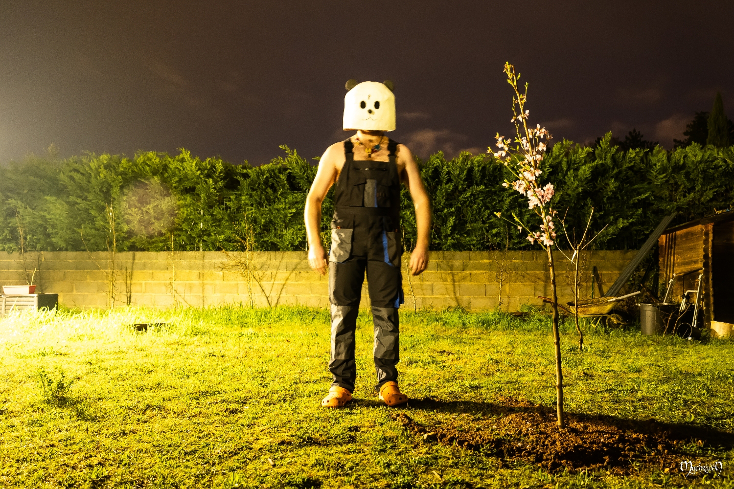 Pandaman test flou - Photo 1