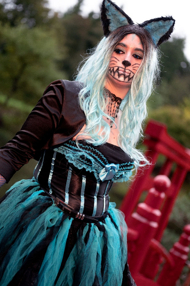 Chat du Cheshire — photo 5