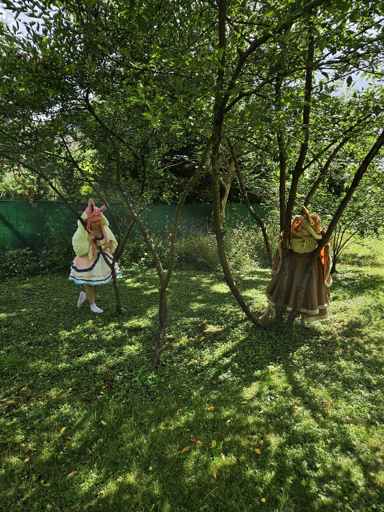 Nymphali forêt — photo 7