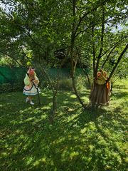 Nymphali forêt preview 3